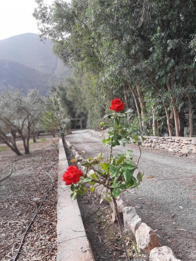 Cortijo De La Arena Fina Villa Orgiva Esterno foto