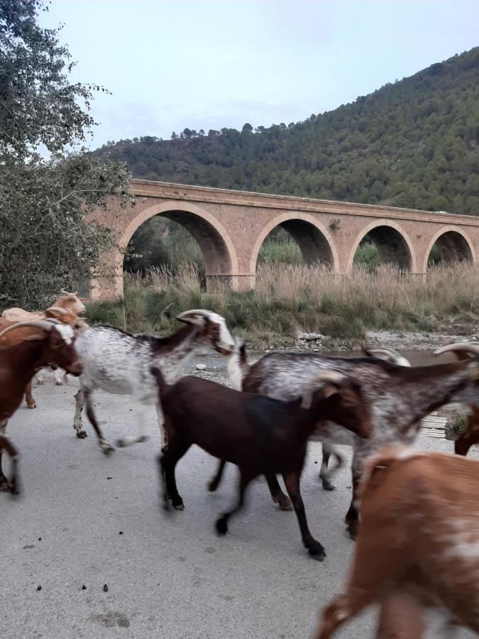 Cortijo De La Arena Fina Villa Orgiva Esterno foto